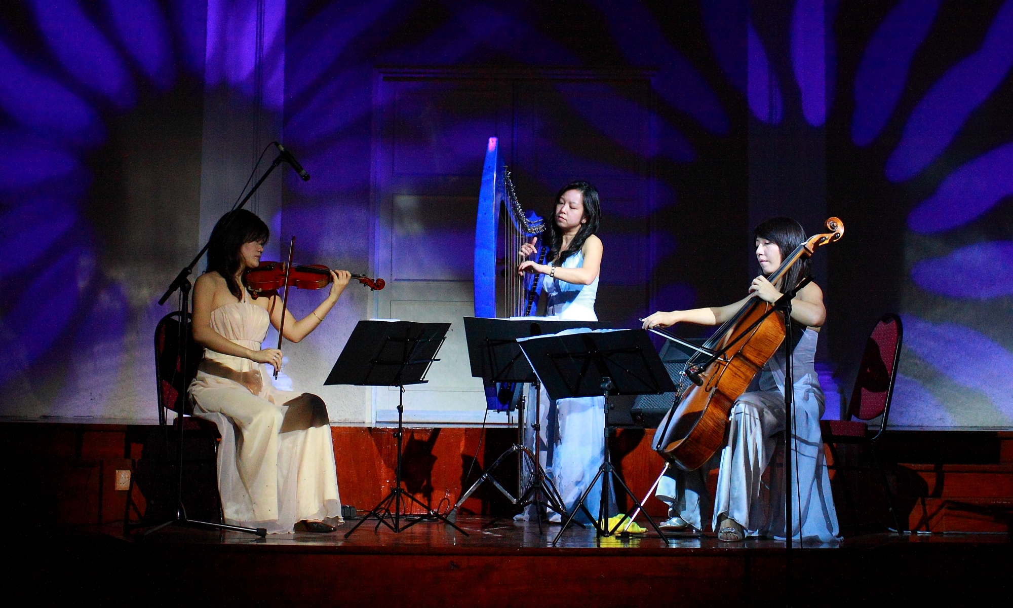 Performances - Cindy Yan